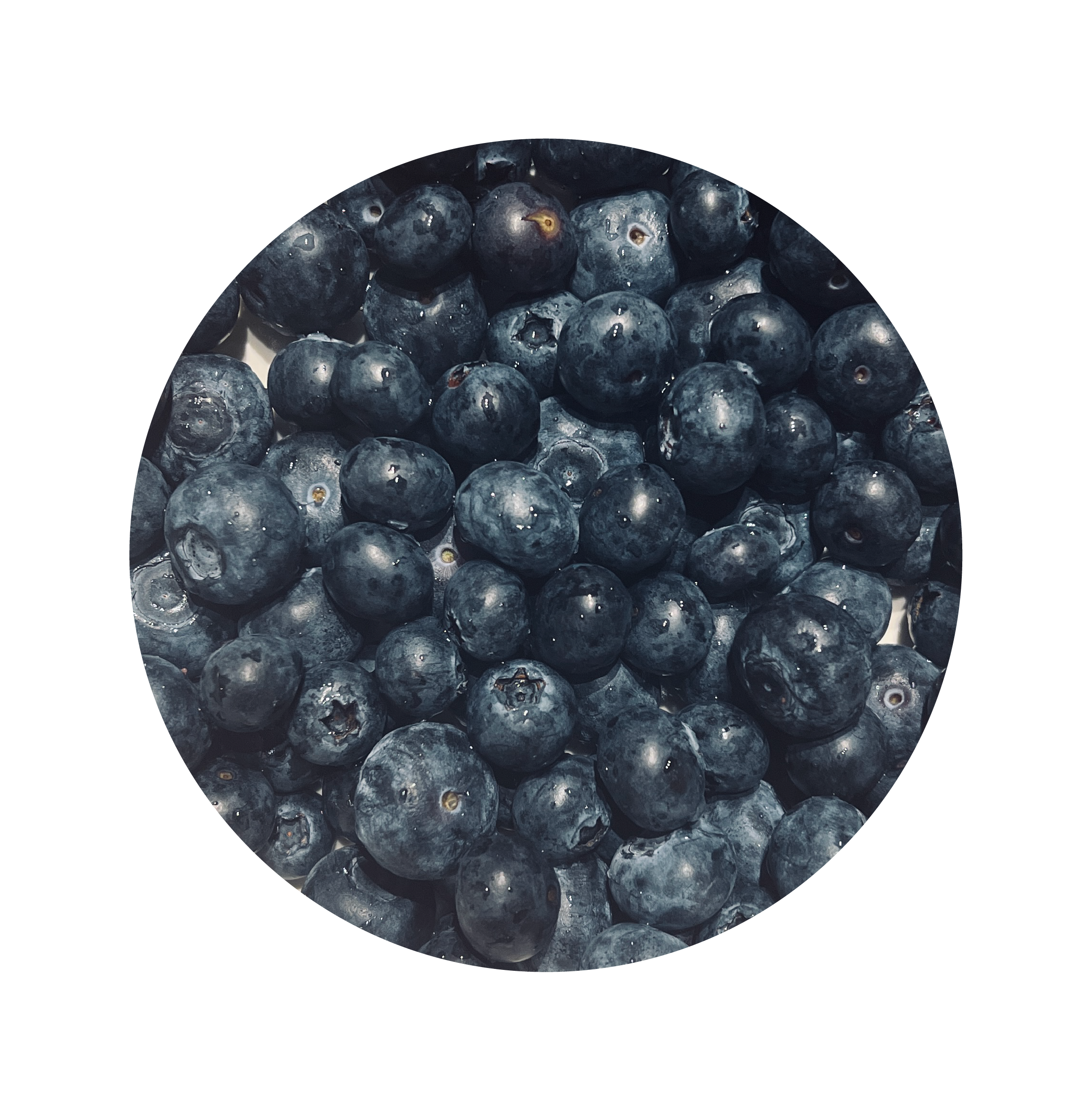 Blueberries